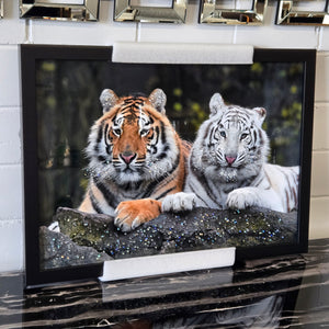 Decorative Wall Art - Animals